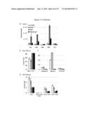 METHODS, KITS, AND COMPOSITIONS FOR STEM CELL SELF-RENEWAL diagram and image