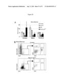 METHODS, KITS, AND COMPOSITIONS FOR STEM CELL SELF-RENEWAL diagram and image