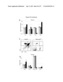 METHODS, KITS, AND COMPOSITIONS FOR STEM CELL SELF-RENEWAL diagram and image