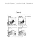 METHODS, KITS, AND COMPOSITIONS FOR STEM CELL SELF-RENEWAL diagram and image