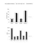 MODIFIED CASPASE POLYPEPTIDES AND USES THEREOF diagram and image