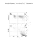 MODIFIED CASPASE POLYPEPTIDES AND USES THEREOF diagram and image