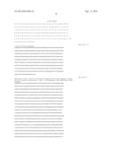 MODIFIED CASPASE POLYPEPTIDES AND USES THEREOF diagram and image