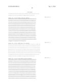 MODIFIED CASPASE POLYPEPTIDES AND USES THEREOF diagram and image