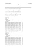 MODIFIED CASPASE POLYPEPTIDES AND USES THEREOF diagram and image