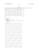 MODIFIED CASPASE POLYPEPTIDES AND USES THEREOF diagram and image