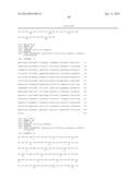 MODIFIED CASPASE POLYPEPTIDES AND USES THEREOF diagram and image