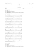 MODIFIED CASPASE POLYPEPTIDES AND USES THEREOF diagram and image