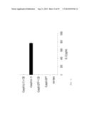 MODIFIED CASPASE POLYPEPTIDES AND USES THEREOF diagram and image