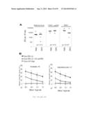 MODIFIED CASPASE POLYPEPTIDES AND USES THEREOF diagram and image