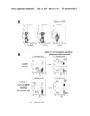 MODIFIED CASPASE POLYPEPTIDES AND USES THEREOF diagram and image