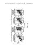 MODIFIED CASPASE POLYPEPTIDES AND USES THEREOF diagram and image