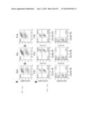 MODIFIED CASPASE POLYPEPTIDES AND USES THEREOF diagram and image