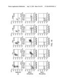 MODIFIED CASPASE POLYPEPTIDES AND USES THEREOF diagram and image