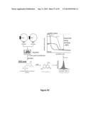 MODIFIED CASPASE POLYPEPTIDES AND USES THEREOF diagram and image