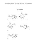 COMPOSITIONS AND METHODS FOR TREATMENT OF AUTOIMMUNE AND OTHER DISEASE diagram and image