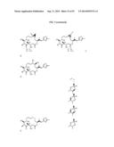 COMPOSITIONS AND METHODS FOR TREATMENT OF AUTOIMMUNE AND OTHER DISEASE diagram and image