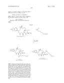 COMPOSITIONS AND METHODS FOR TREATMENT OF AUTOIMMUNE AND OTHER DISEASE diagram and image