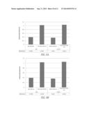 PEGYLATED TYROSYL-TRNA SYNTHETASE POLYPEPTIDES diagram and image