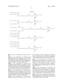 PEGYLATED TYROSYL-TRNA SYNTHETASE POLYPEPTIDES diagram and image