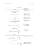 PEGYLATED TYROSYL-TRNA SYNTHETASE POLYPEPTIDES diagram and image