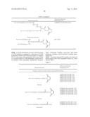 PEGYLATED TYROSYL-TRNA SYNTHETASE POLYPEPTIDES diagram and image