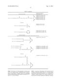 PEGYLATED TYROSYL-TRNA SYNTHETASE POLYPEPTIDES diagram and image