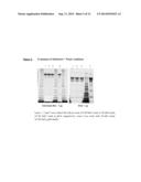 ISOLATION AND PURIFICATION OF ANTIBODIES USING PROTEIN A  AFFINITY     CHROMATOGRAPHY diagram and image