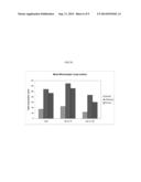 NOVEL EUROPEAN PRRSV STRAIN diagram and image