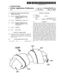 Edible Pet Chew and Method for Making the Same diagram and image