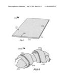 Edible Pet Chew and Method for Making the Same diagram and image