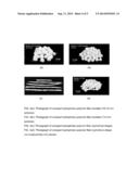 DISPERSIBLE FIBER BUNDLES AND SUSPENSIONS USING ENVIRONMENTALLY-FRIENDLY     SOLVENTS diagram and image