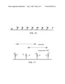 TWIST-TIE OLIGONUCLEOTIDE PROBES diagram and image