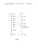 Genotypes, Alleles and Molecular Markers Associated With Asian Soybean     Rust, as Well as Methods, Processes and Uses Thereof diagram and image