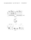 DIAGNOSIS OF MYOCARDIAL AUTOIMMUNITY IN HEART DISEASE diagram and image