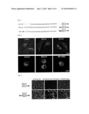 BIO-PIN diagram and image