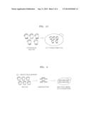 METHOD OF CONSTRUCTION OF RECOMBINANT ORGANISMS USING MULTIPLE GENES     CO-INTEGRATION diagram and image