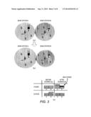 RENEWABLE ENERGY BASE STATION AND COVERAGE ADJUSTMENT METHOD THEREFOR, AND     WIRELESS CELLULAR SYSTEM diagram and image