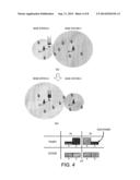 RENEWABLE ENERGY BASE STATION AND COVERAGE ADJUSTMENT METHOD THEREFOR, AND     WIRELESS CELLULAR SYSTEM diagram and image