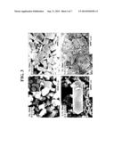 ZEOLITE CORE/SILICA ZEOLITE SHELL COMPOSITE, PREPARING METHOD OF THE SAME,     AND CATALYST INCLUDING THE SAME diagram and image