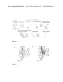 FUNCTIONALIZED ENVIRONMENTALLY BENIGN NANOPARTICLES diagram and image