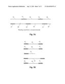 METHODS FOR ACCURATE SEQUENCE DATA AND MODIFIED BASE POSITION     DETERMINATION diagram and image