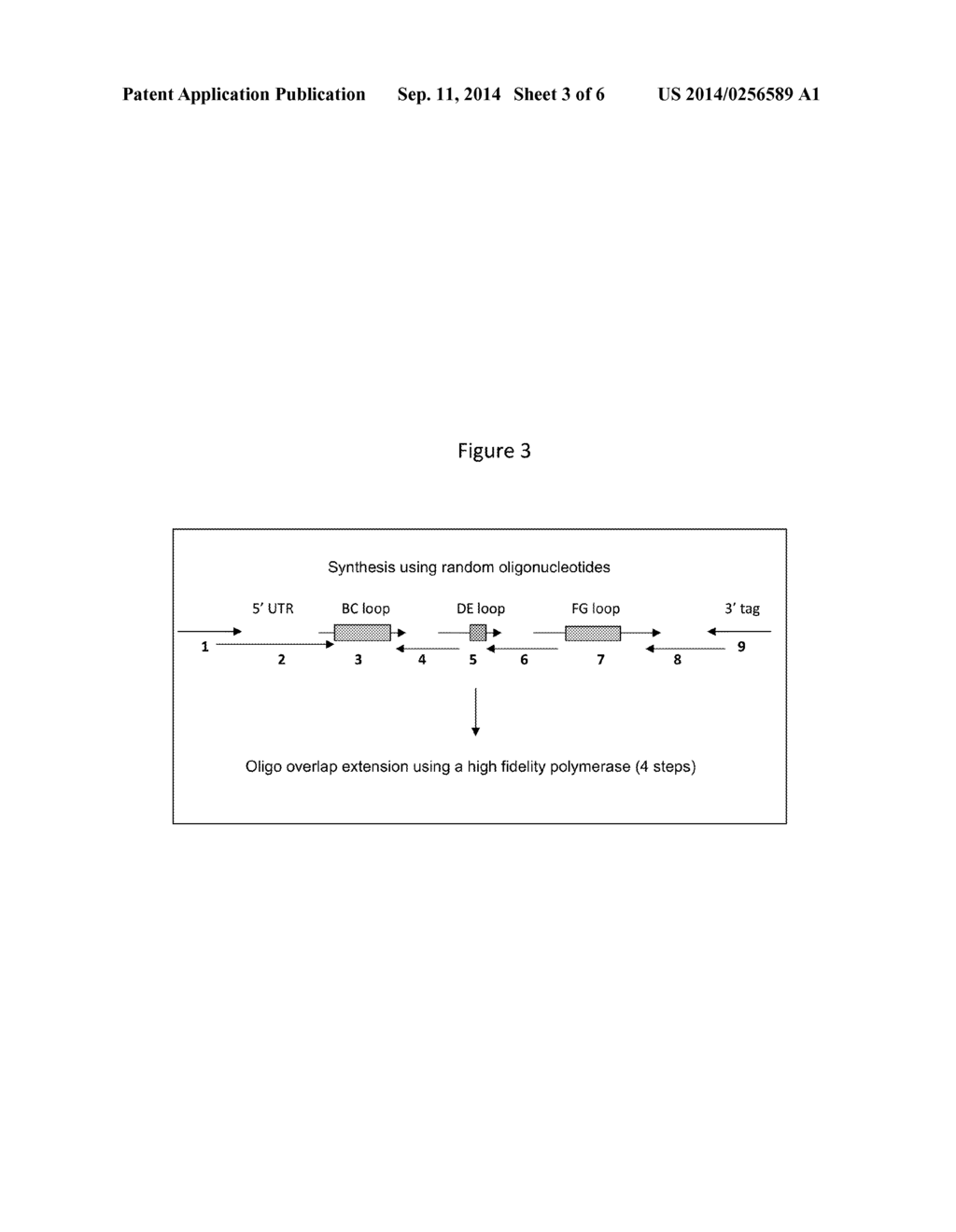 METHODS FOR ACCELERATED SELECTION OF POLYPEPTIDES - diagram, schematic, and image 04