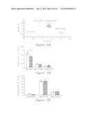 Compositions And Methods For Treating Glioma diagram and image