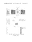 Compositions And Methods For Treating Glioma diagram and image