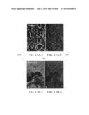 PROTEIN-PROTEIN INTERACTION AS BIOMARKERS diagram and image