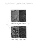 PROTEIN-PROTEIN INTERACTION AS BIOMARKERS diagram and image