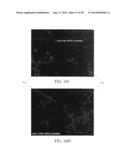 PROTEIN-PROTEIN INTERACTION AS BIOMARKERS diagram and image