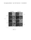 PROTEIN-PROTEIN INTERACTION AS BIOMARKERS diagram and image