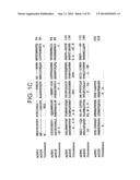 Polypeptides Involved In Immune Response diagram and image